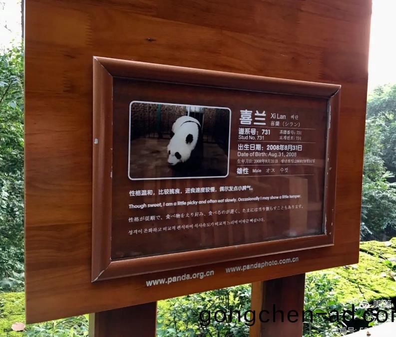 動物名(ming)稱標識牌(pai)